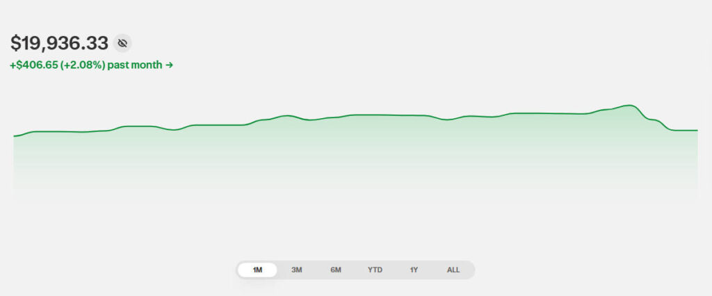 Інвестиційний портфель січень 2026 результати графік